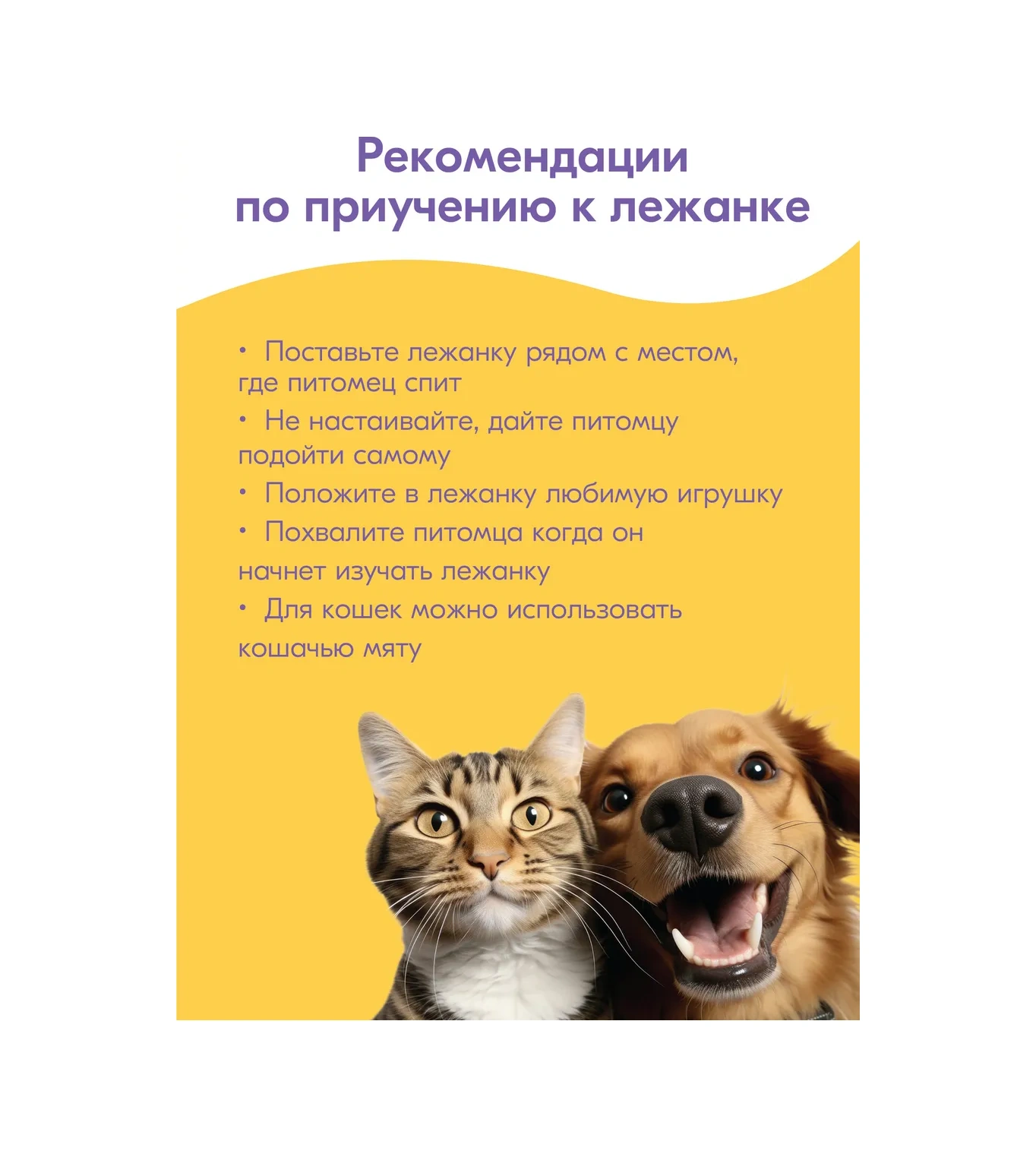 Pettails Kedi Ve Köpekler İçin Kenarlı Yatak, 53x42x16cm 273085252