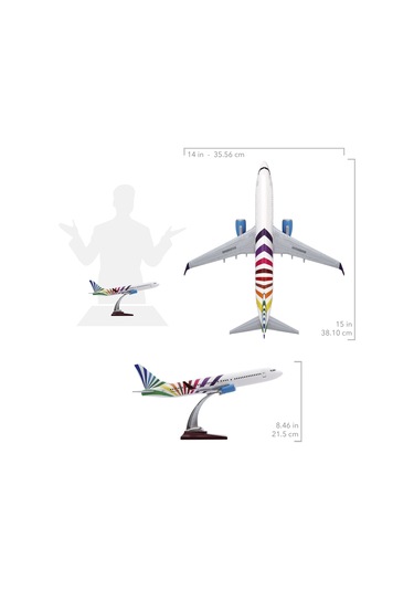 Zekupp - Maket Uçak - Boeing 737-800 1/100 - RENKLİ ÖZEL TASARIM Model Uçak