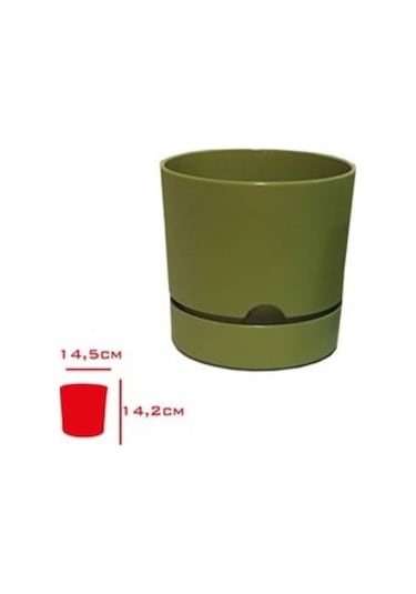 Polıwork Saksı Begonya 15 Cm Yosun Yeşili