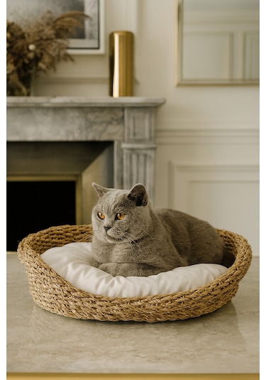 Dekoratif Hasır Kedi Köpek Yatağı Sepet 53cmx40cmx14cm