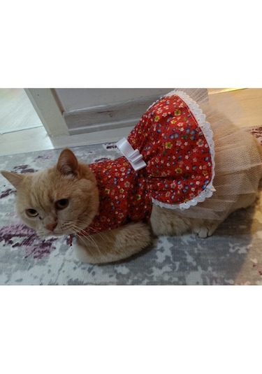 Gobo Rengarenk Çiçekli Fiyonklu Kedi Köpek Kıyafeti