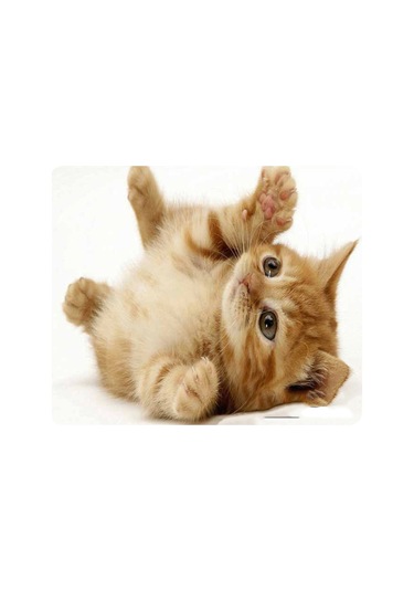 Samdoo Kedi Desenli Kaymazsız Mouse Pad - 180x220mm, 9 Farklı Kedi Resmi, İş Ve Oyun İçin, Yumuşak Dokuma, Pc/dizüstü/macbook Uyumlu Diğer