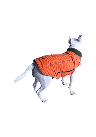 Vkemall Köpekler İçin Kışlık Mont, Kalın Isı Sağlar, İpek Telli Uyumlu, Retro Desen, Turuncu, S Boyutu Pd10025