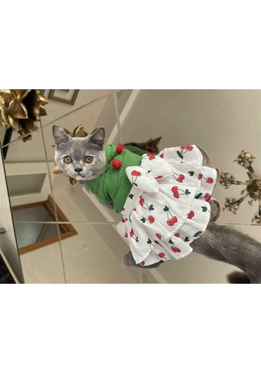 Gedyco Küçük Irk Köpek İçin Kirazlı Yeşil Elbise