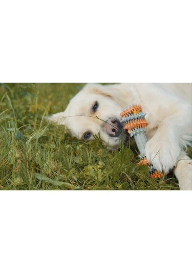 Twisstydog Kauçuk Diş ve Dil Temizleyici Köpek Çiğneme Oyuncağı