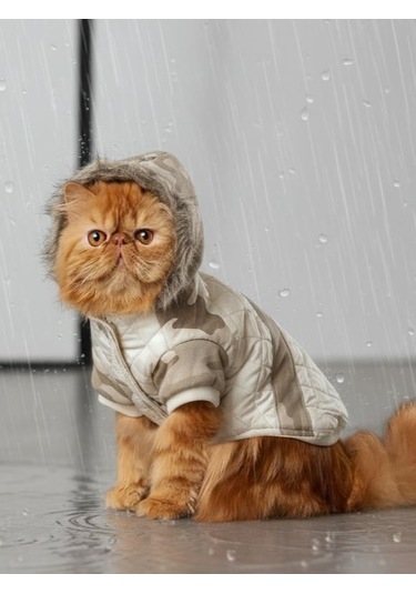 Kmauflaj Desenli Creamy Camo Kedi Montu Kışlık Ceket