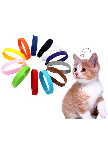 Homyl 12 Adet Tanımlama Köpek Tasmaları Ayarlanabilir Kimlik Açık Mor