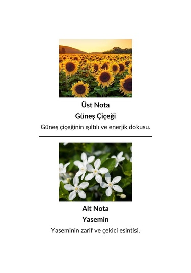 Alescia St-90 Kadın Parfüm EDP 50 ML