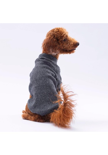 Pawstar Siyah Merino Esnek, Küçük Irk Triko Köpek Kazağı