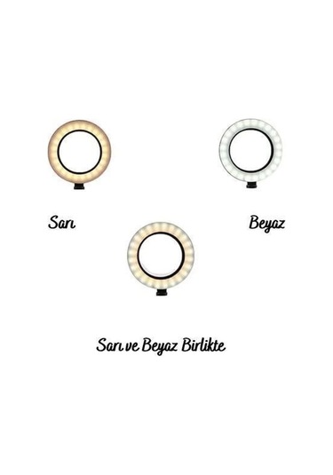 Buffer 8inç 20cm Youtube Instagram Tiktok Selfie Stüdyo Video Fotoğraf Ring Light Tripod Led Halk Renk