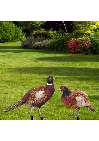 Suntek Sülün Heykelcik Hediyeler Çiftlik Veranda Açık Ab