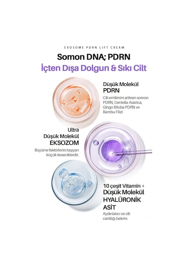 Maxclınıc Exosome PDRN Yoğun Elastikiyet ve Cilt Dolgunlaştırıcı Maxclinic Krem + Gua Sha