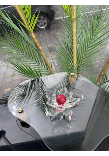 Gaelle Dekoratif Lotus Kırmızı