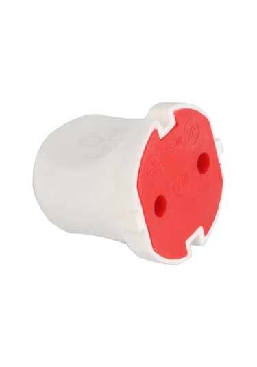 Mutlusan Dişi Fiş Normal