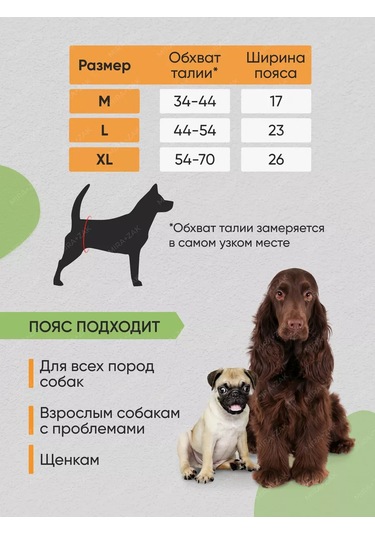 Mıra+zak Erkek Köpekler İçin Çok Kullanımlık Kilitli Kemer 173670792