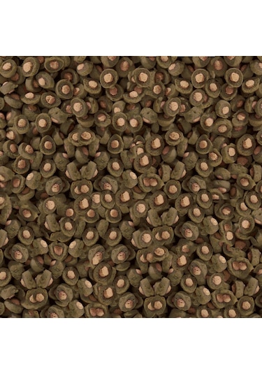 Sera Koi Professional Spirulina  Renk Yemi 1 KG