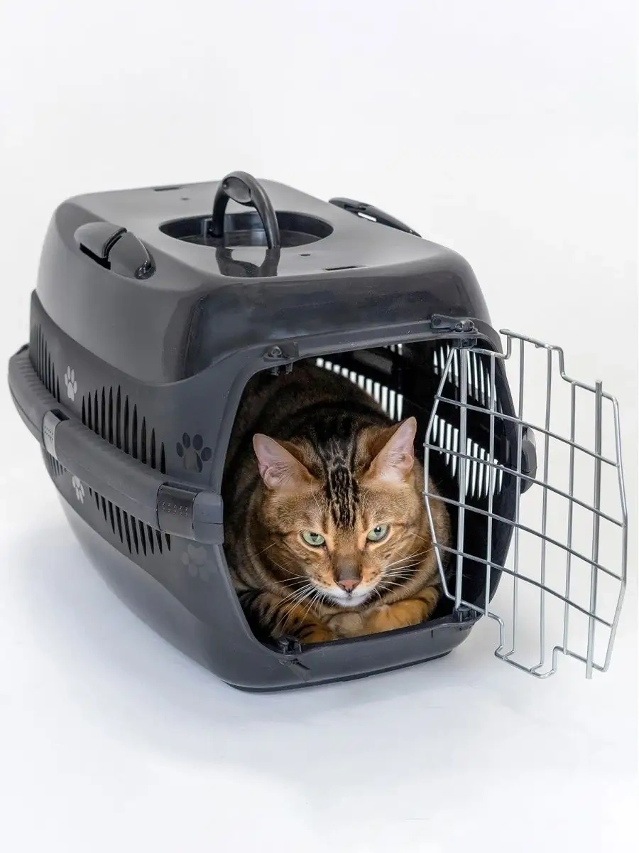 Pettails Plastik Kedi Taşıma Kafesi, Hayvanlar İçin Metal Kapılı 27566030