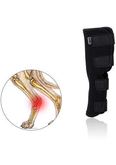 Homyl Köpek Diz Pedleri Yaralanma Önleme Yara İyileşme Artrit