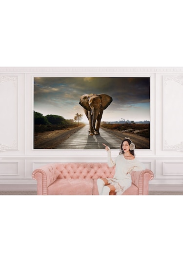 Yürüyen Fil Duvar Kağıdı - Posteri-3959 Çok Renkli