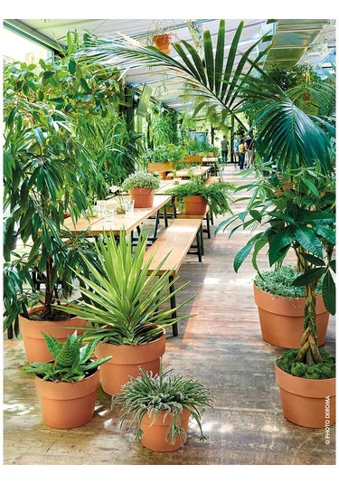 Cachepot Perfetto 13 Cm Toprak Saksı Terracota