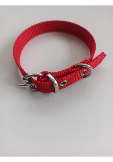 Kozaklı Kedi ve Yavru Köpek Tasması Kırmızı 40 x 2 CM Kırmızı