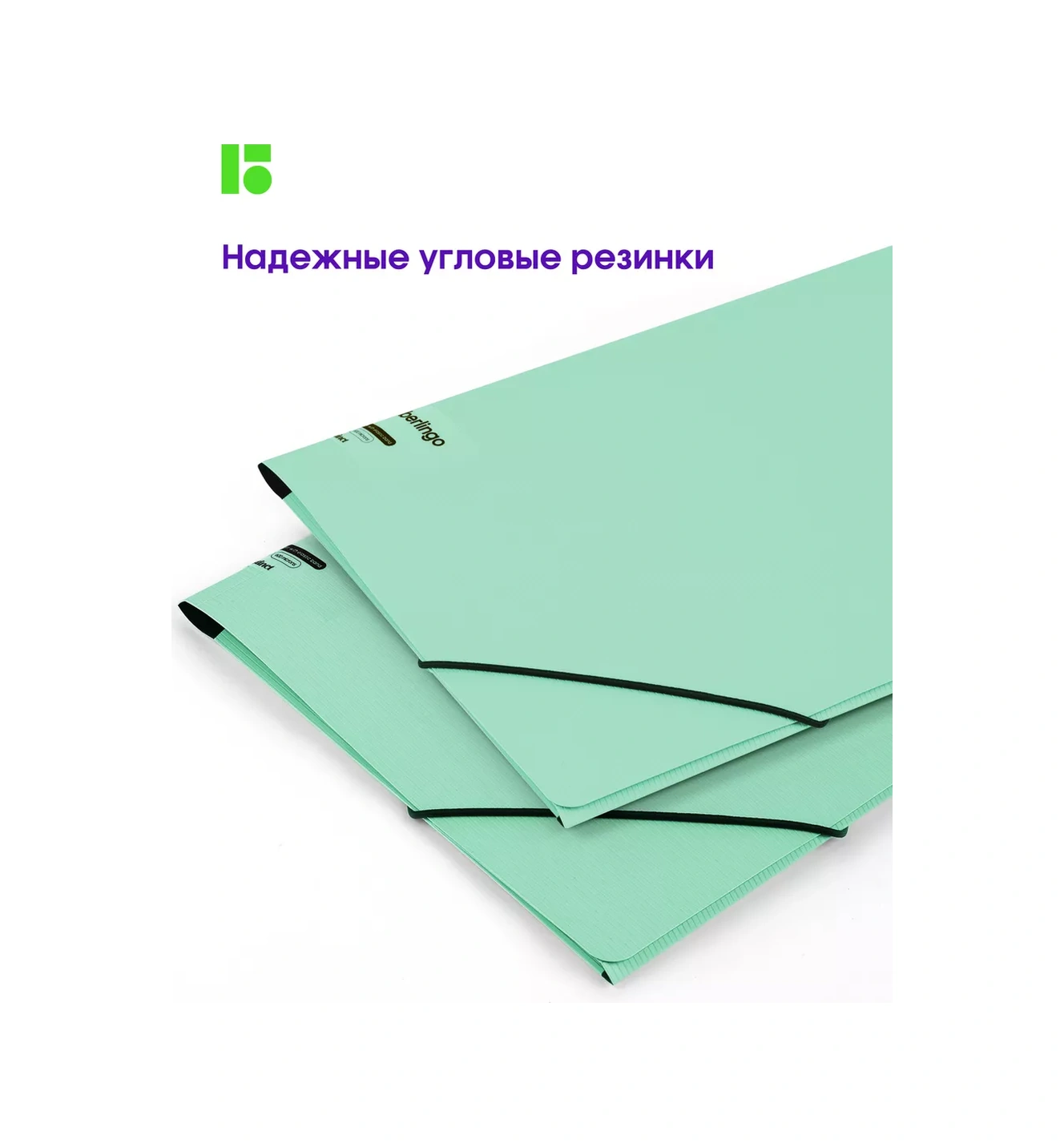 Berlingo A4 Belge Ve Yapraklar İçin Lastikli Klasör 170352576