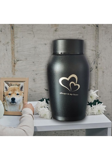 Homyl Pet Urns Paslanmaz Çelik Hatıra Urn Su Geçirmez Siyah Altın