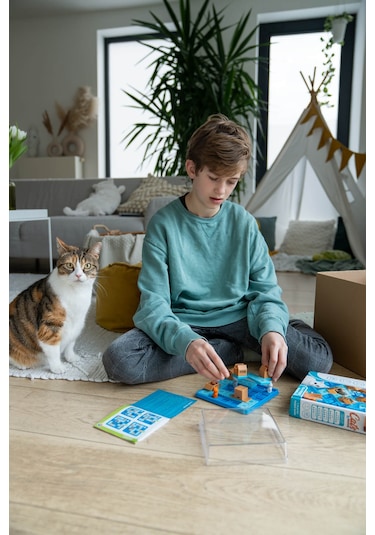 Smartgames Cats And Boxes