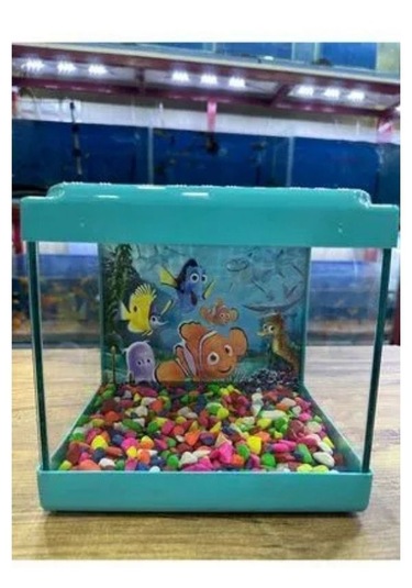 Mavi Renkli Mini Kare Akvaryum 20x20x15