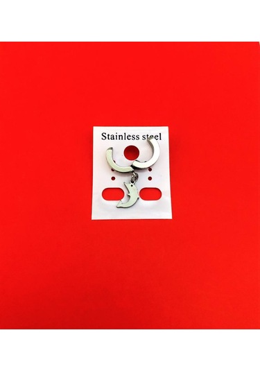 Tükkan Accessories 316l Cerrahi Çelik Yunus Figür Kıstırmalı Çelik Küpe-çlkgfkü17