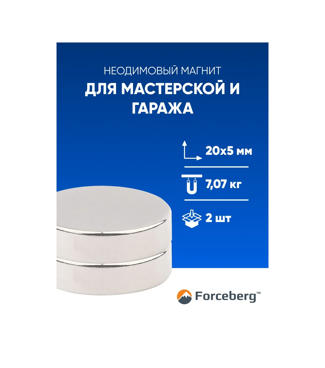Forceberg Nijon Disk Mıknatıs 20x5 Mm, 2 Adet 3400443