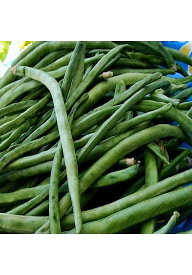 Doğal Kılçıksız Börülce Tohumu 25 Gram