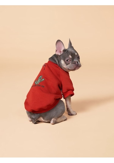 Cacti Küçük ve Orta Irk Köpekler İçin Köpek Sweatshirt