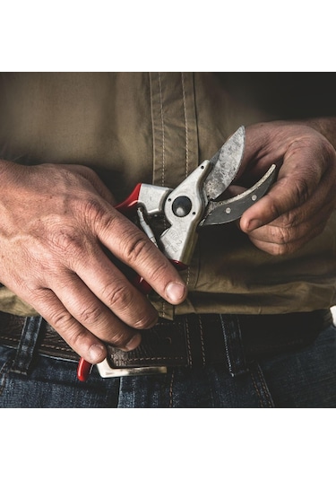 Geeksen "felco-2 Bahçe Makası - 215 Mm Profesyonel Budama Makası"