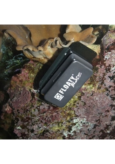 Jbl Floaty L Blade