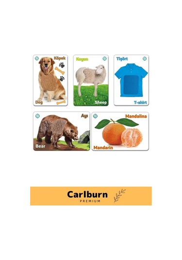 Özel Üretim Duyusal Gelişim Görsel Algı Eğlenceli Öğrenme Çocuk Dokun Hisset Tanı Eğitim Kartları