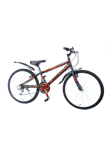 Chenar 24 Jant 21 Vites Çamurluklu Şehir Bisikleti