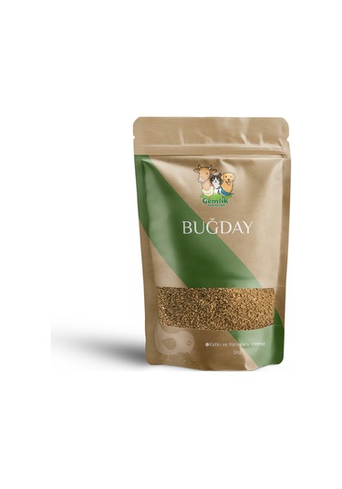 Tane Buğday 10 Kg Güvercin Ve Kümes Hayvanlarına Özel Yem