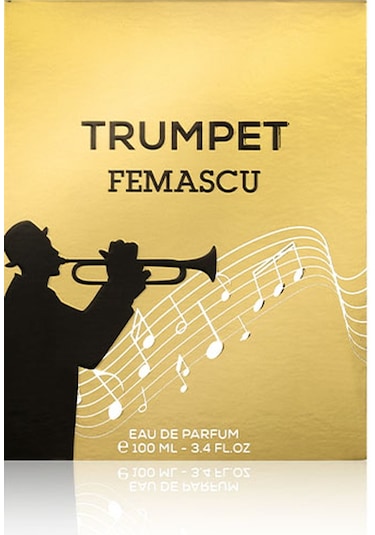 Femascu 6519 Erkek Parfüm EDP 100 ML