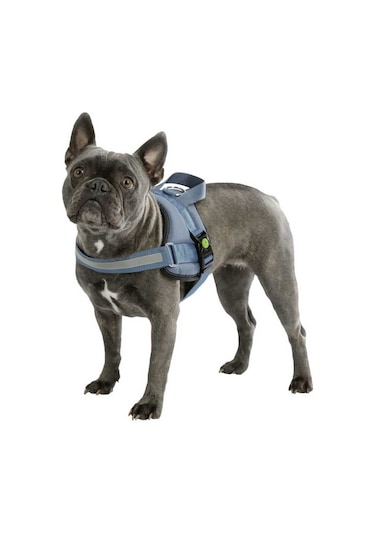 Belden Köpek Tasması Maestro 2.0 S  45-60 cm x 15 mm Mavi