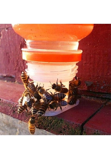 Pazly Suyu Suntek Su Içme Ekipmanları Besleyici Arı Paket 10 Adet Vf