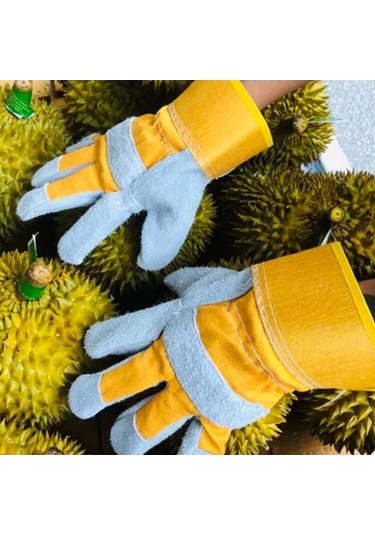 Trendooze Suntek Durian Eldiveni, Diken Dayanıklı Sarı Eldiven