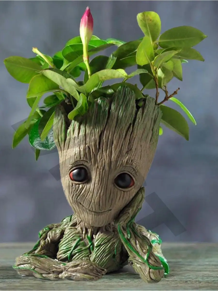 Maks Store Güzellik Gru Ve Vazo, Çiçek Saksısı Ve Organizatör 26991650 Çimen Yeşili