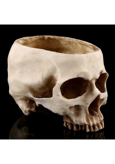 Konesam Büyük Boy Reçine Kafatası Süs Tepsisi - Bitki Yetiştirme, Atıştırmalık Depolama, Bar Ve Halloween Dekorasyonu