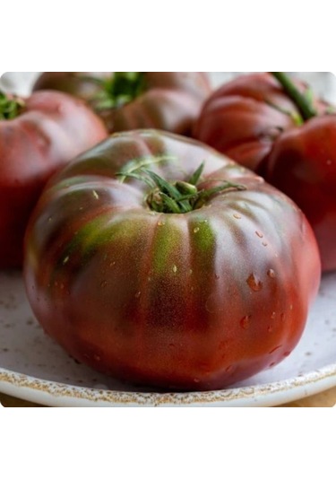 Chocolate Stripes Domates Tohumu 15 Tohum