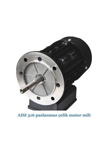 Gemaş Havuz Pompası Streamer Mini 1/3Hp 220 Volt