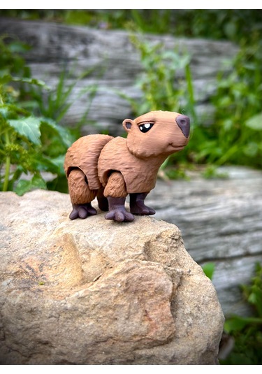 Kapibara Oyuncak 3d Hareketli Organik Vip Model Orta Boy