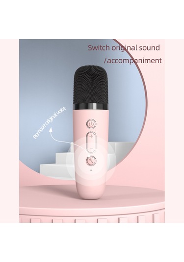 Reedark Mikrofonlu Kablosuz Bluetooth Hoparlör Karaoke Hoparlör Modeli: P2 Çift Mikrofon Pembe