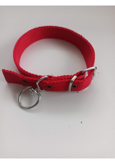 Kozaklı Orta Irk Köpek Tasması Kırmızı 60 x 3 CM