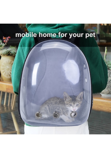 Springsun Yetişkinler, Gençler, Kampüs Sırt Çantaları, Yürüyüş, Tuval Okul Çantası İçin Aydınlık Sırt Çantaları Benzersiz Tasarım